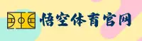 使用指南与常见问题